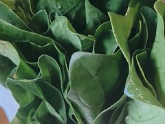 -南门四季铜锅涮肉(大屯·北苑店)