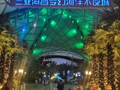 -三亚海昌梦幻海洋不夜城