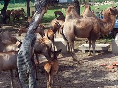 -西安秦岭野生动物园