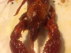 -王红军龙虾(新民路店)