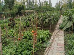 -洪湖家庭农场·团建·露营·会议