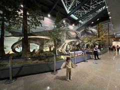 -湖南省地质博物馆