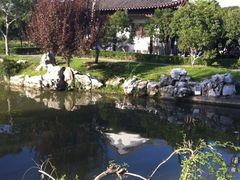 吴宫泛太平洋酒店-苏州吴宫泛太平洋酒店