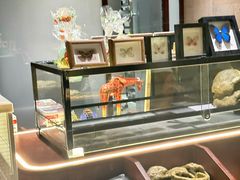 -帕帕拉兹宠物(亚洲旗舰店)