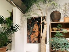 -自由生长植物工作室(深港花卉中心店)