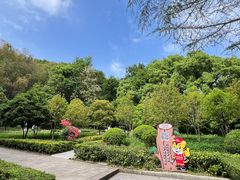 -上海佘山国家森林公园天马山园