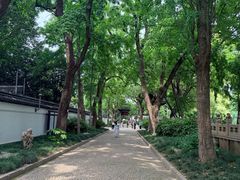 -汇龙潭