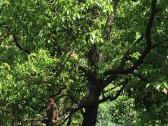 -黔灵山公园-南门售票处