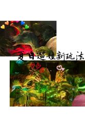 -恐龙探索乐园(磁器口店)