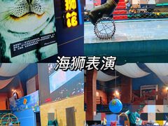 -洛阳龙门海洋馆