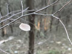 -青州市云门山风景区