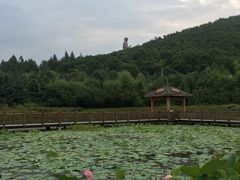 -六鼎山文化旅游区