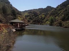 -仙居谷风景区