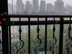 -李子坝梁山鸡(李子坝大鸡哥店)