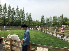 景点-前小桔亲子创意农场·草莓采摘·露营烧烤