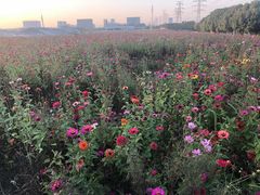 -苏宁易购(Suning Elec无锡五洲国际装饰城)