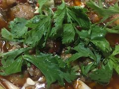 -潼南太安名鱼•特色江湖菜 太安鱼