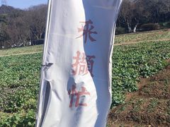 -八卦田遗址公园