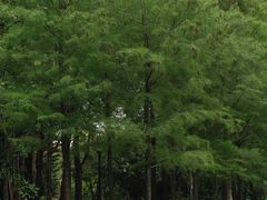 -人民公园(罗湖区)