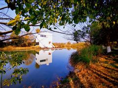 -西溪国家湿地公园