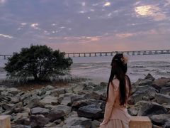 -宝安西湾红树林湿地公园