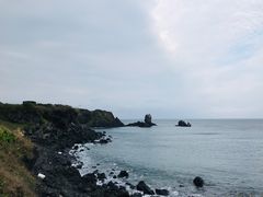 -涉地可支