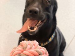 -萌兽医馆·犬猫专科·眼科中心·宠物医院(朝阳门分院)