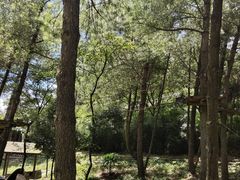 -梦幻奥陶纪景区