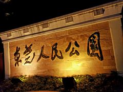 -喜茶(东莞雍华庭店)