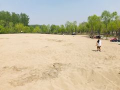 -东郊湿地公园