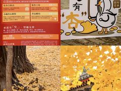 -承恩寺