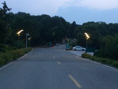 -上海市保健医疗中心(华东疗养院)