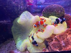 -沈阳海洋探索中心