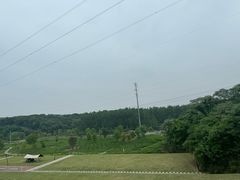 -佛手湖郊野公园