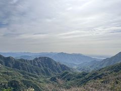 -大岭沟猕猴桃谷风景区