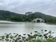 -顺峰山公园