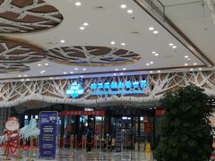 -哈尔滨热雪奇迹