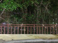 -江门古兜温泉小镇