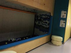 -IBOBI早教·托班·国际家庭互动成长中心(欢乐海岸中心)