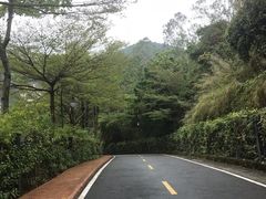 -深圳东部华侨城瀑布酒店