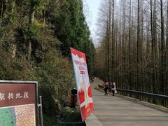 -山王坪喀斯特国家生态公园