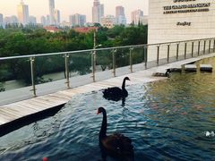 -南京圣和府邸豪华精选酒店