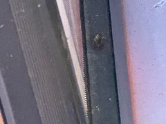 -大玩家(大连高新万达店)