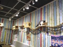 -小时光咖啡馆(开森度假森林店)