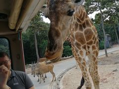 -清迈夜间动物园