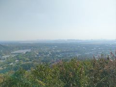 -上海佘山国家森林公园西佘山园