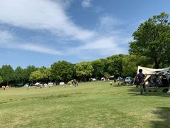 -上海吴淞炮台湾国家湿地公园