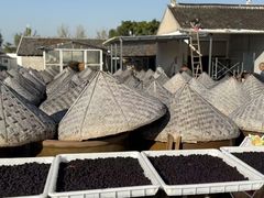 -苏州市吴中区光福窑上花果蜜饯厂