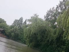 -鲁镇
