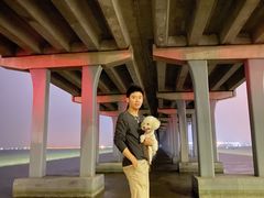 -宝安西湾红树林湿地公园